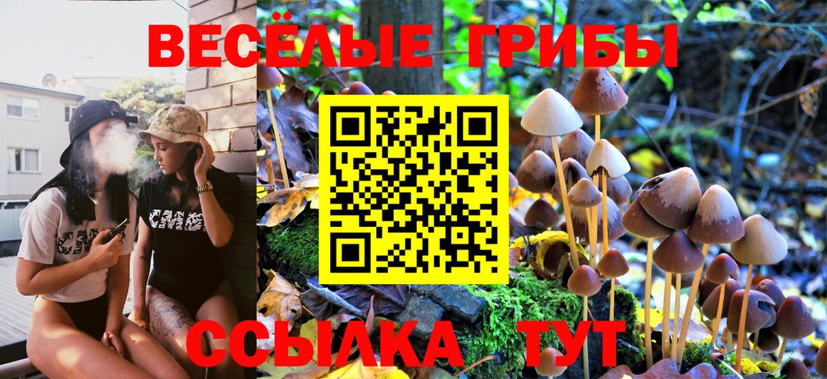 где продают   Галлюциногенные грибы прущие грибы  Вход с VPN  Галлюциногенные грибы Psilocybine cubensis  Можга 